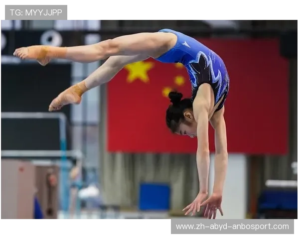 国家体操队运动员委员会育新人树新风助力体操事业可持续发展